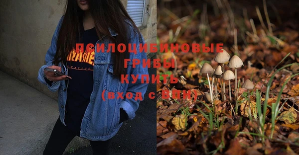 spice Болохово