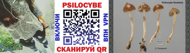 купить наркоту  кракен зеркало  Псилоцибиновые грибы мицелий  Задонск 