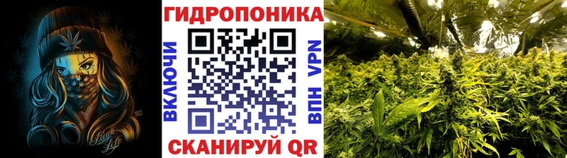 Бошки марихуана Ganja  как найти наркотики  гидра ссылки  Задонск 